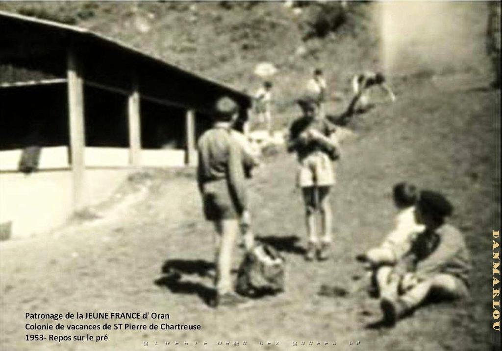 COLO JEUNE FRANCE 1953 repos sur le pre avant le repas 2.jpg
